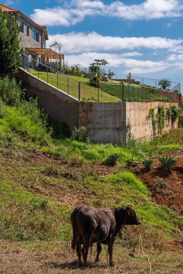 Villa Flora - Nature & Tranquility - Heated Pool Optional Jardim do Mar Exteriér fotografie